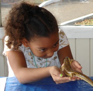 girl w skink