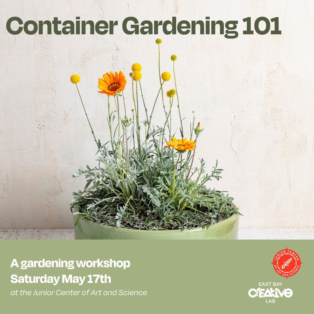 Container Gardening 101: A Sprout & Bloom Workshop