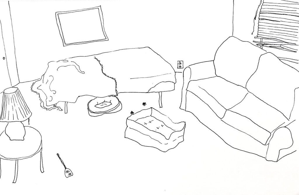 georgies living room