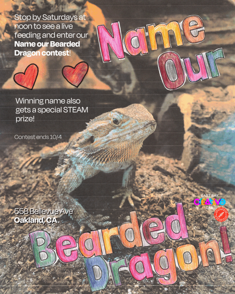 Name our Bearded Dragon Contest 2025 Flyer